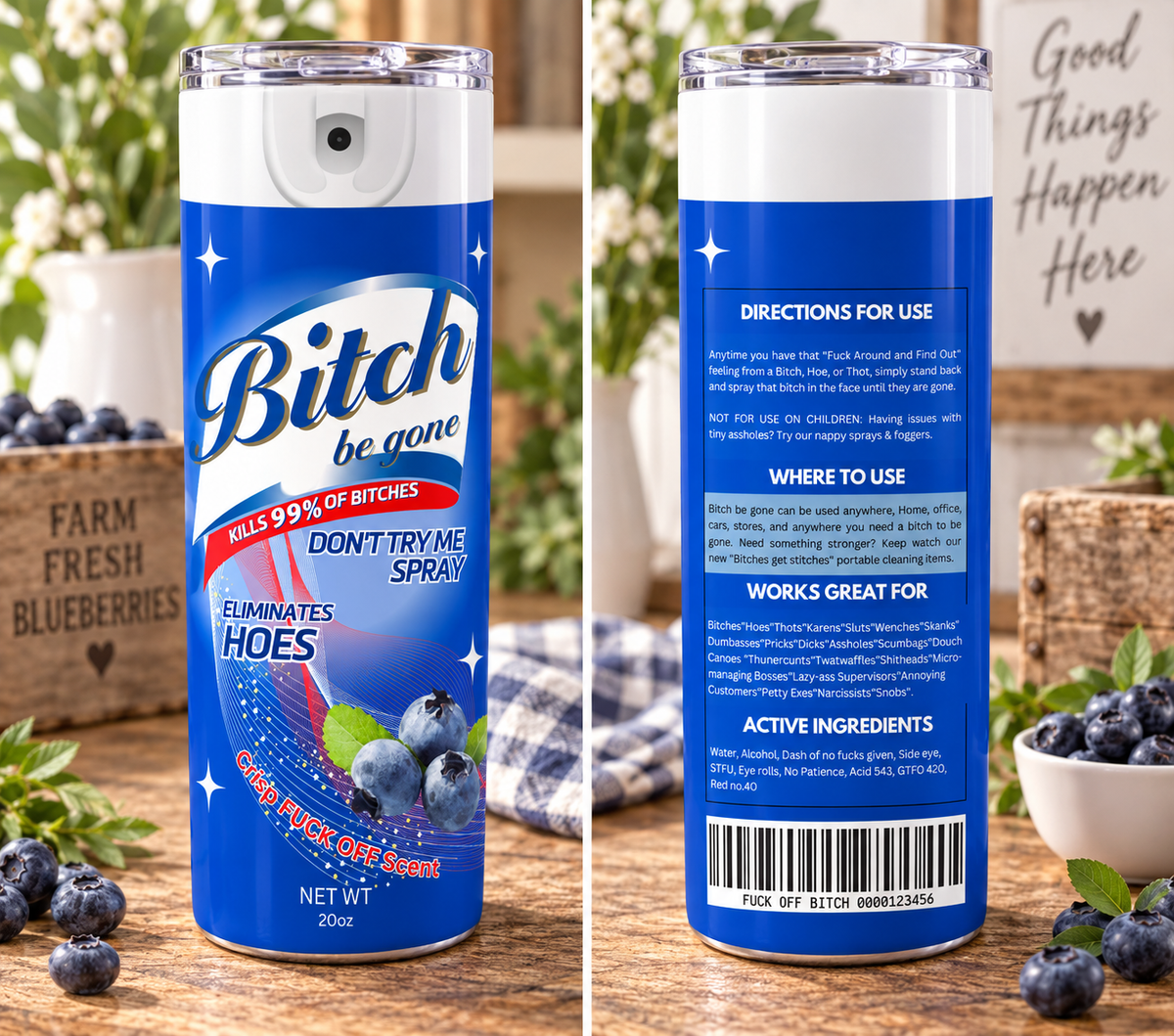 Bitch Be Gone 20 oz Skinny Tumbler – Sarcastic Adult Humor Cup