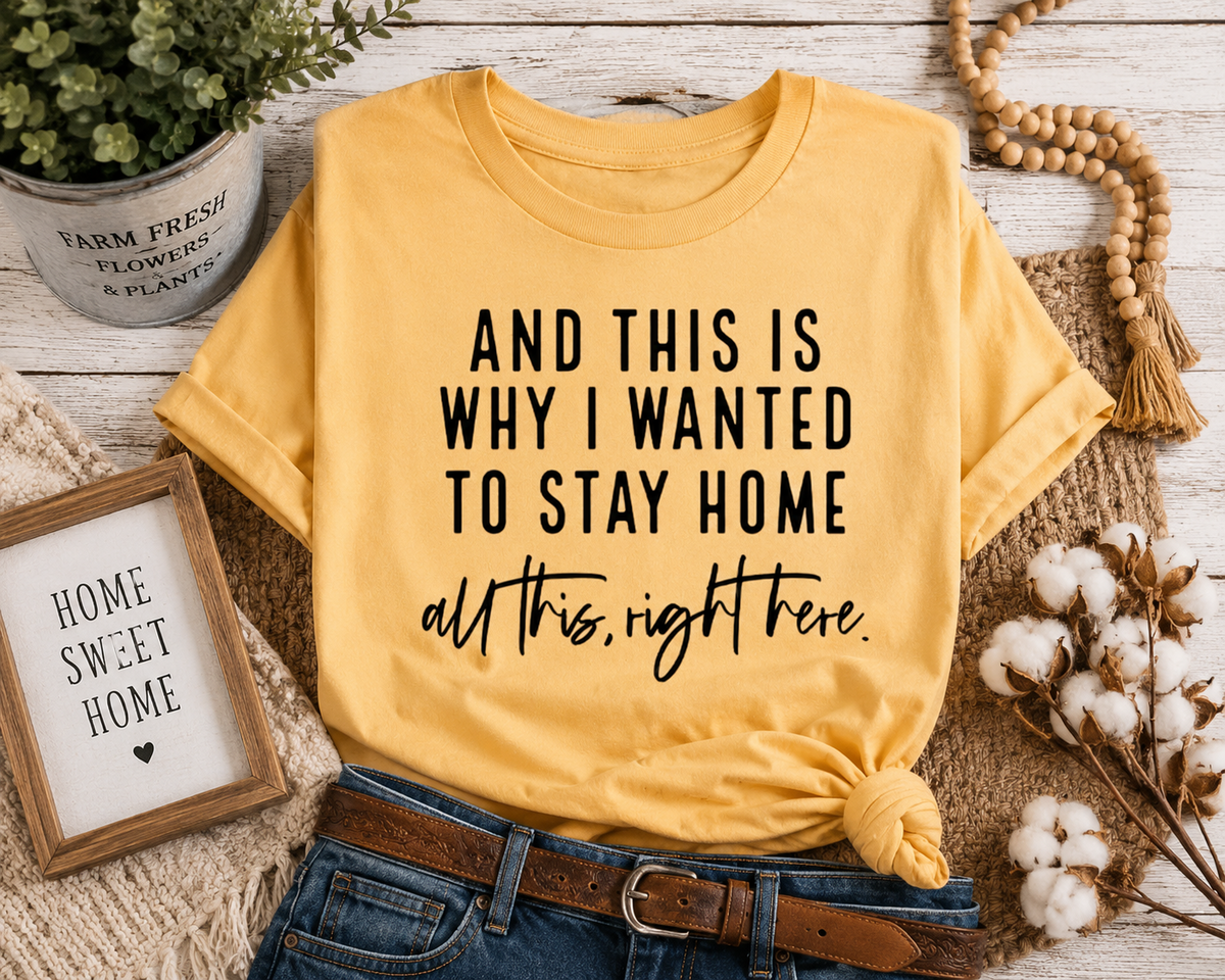 And This Is Why I Wanted to Stay Home T-Shirt – Funny Homebody Graphic Tee